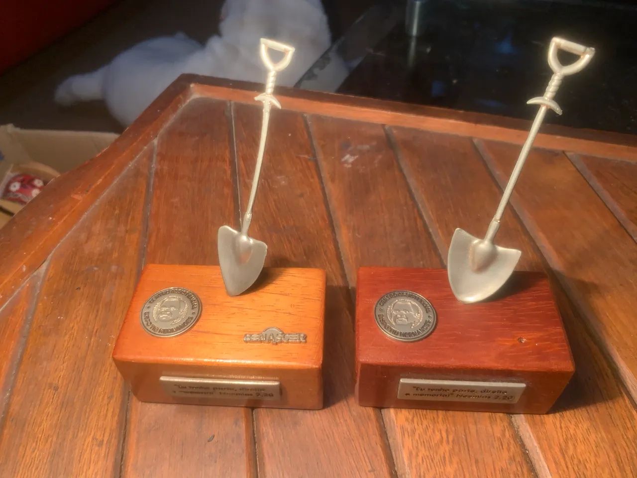 Dois troféus ou peças comemorativas personalizadas