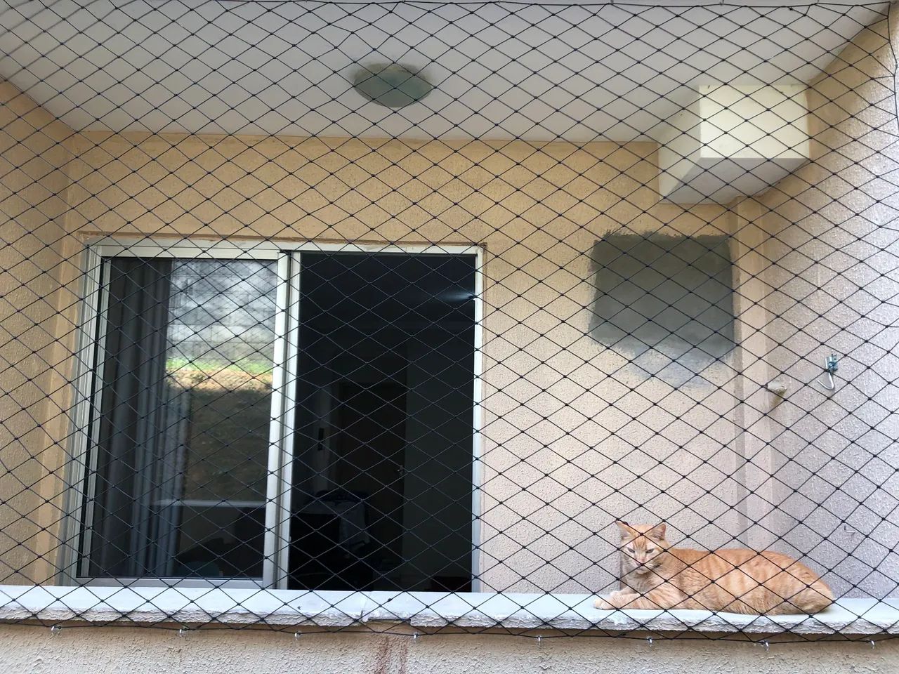 Telas de proteção  - Foto 2