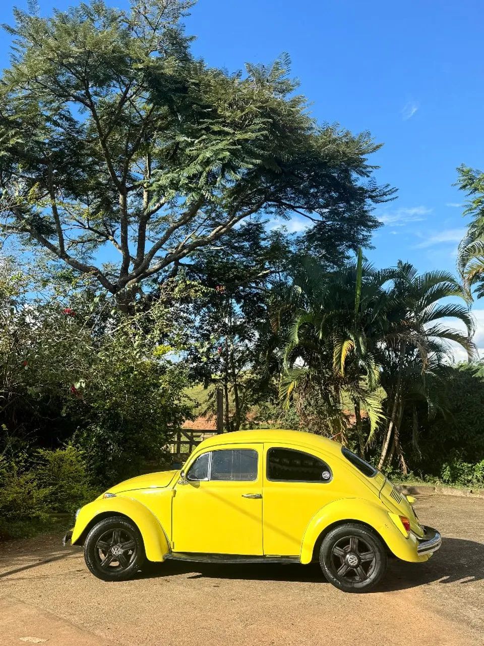 Volkswagen Fusca Fusca (gasolina) 1972