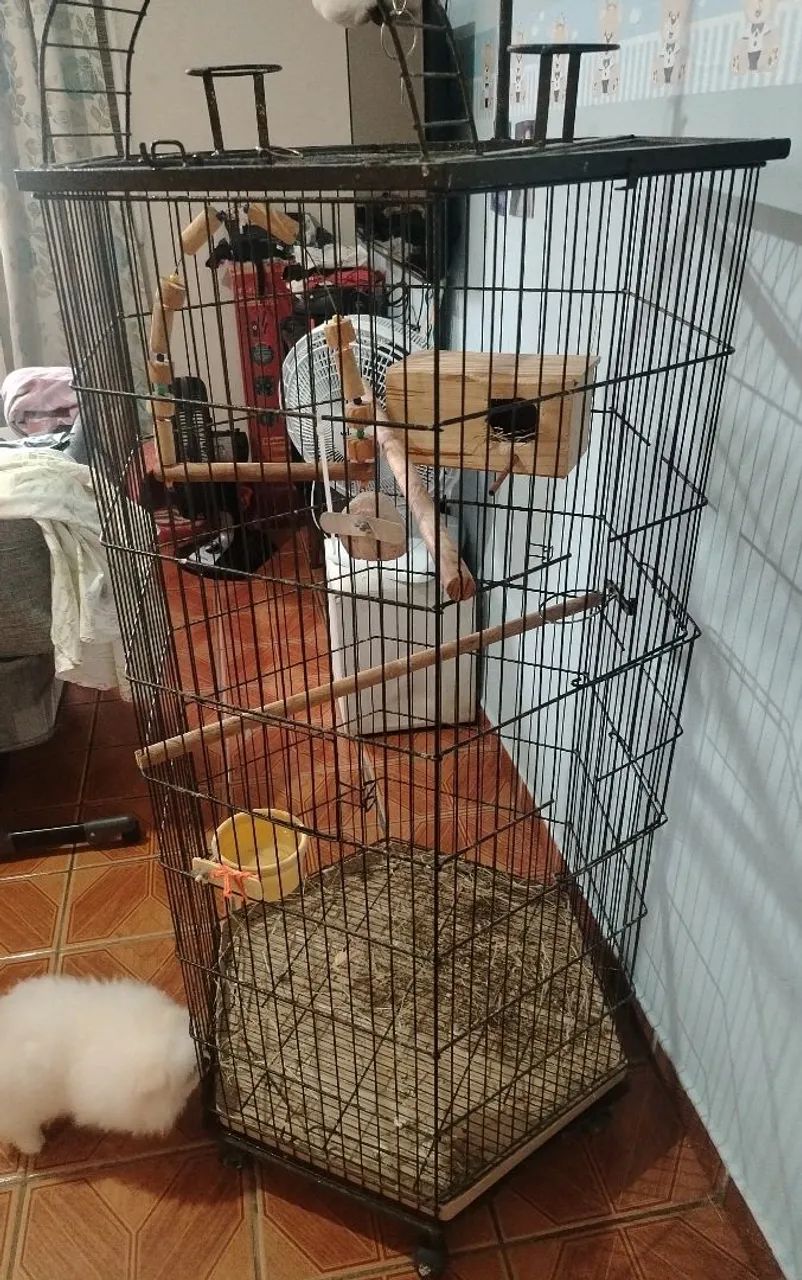 Viveiro pra aves - Foto 4