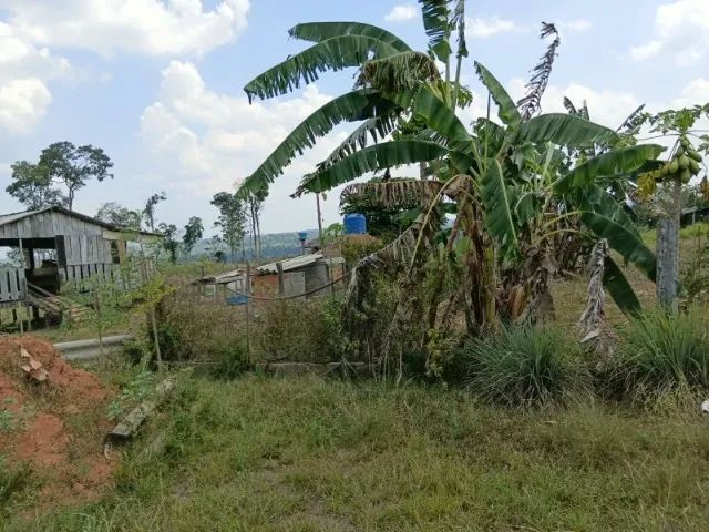 Chacara de 1,5 alqueire - Foto 2