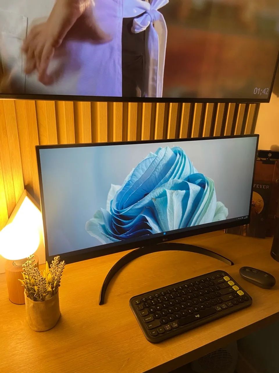 Monitor LG Ultra Wide - 29 polegadas (na garantia)