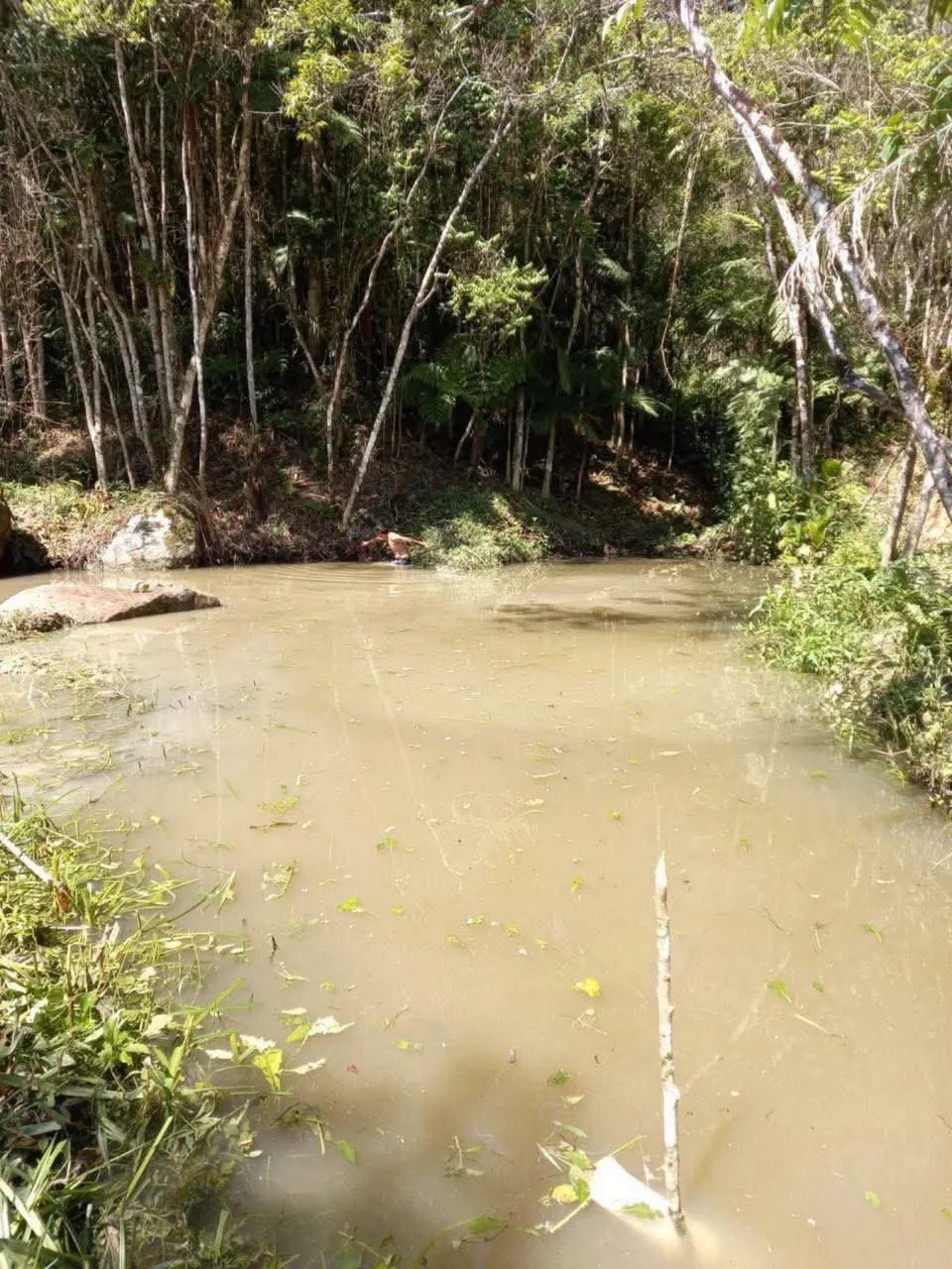 Chácara a venda  - Foto 3