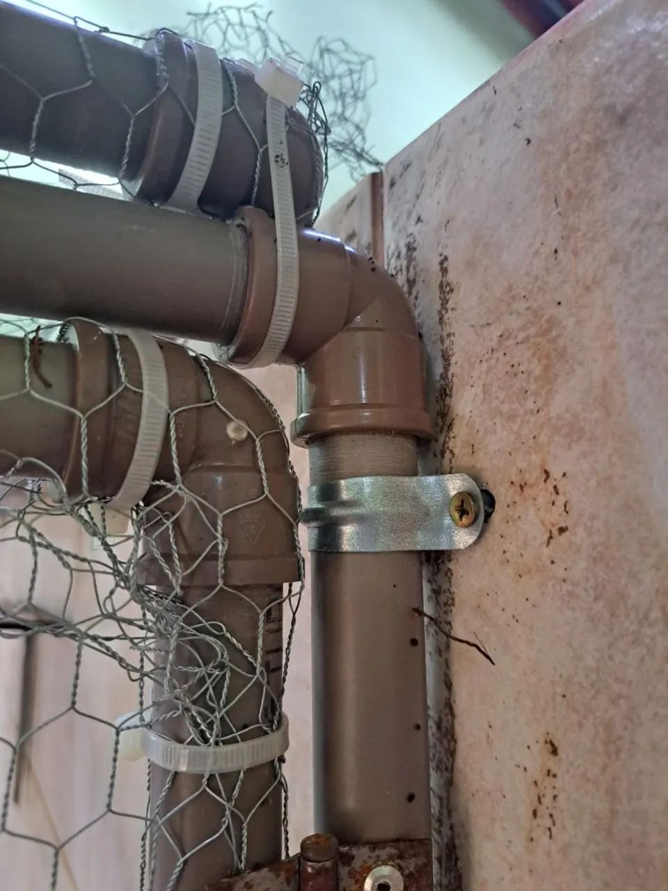 Viveiros pra passaros - Foto 5