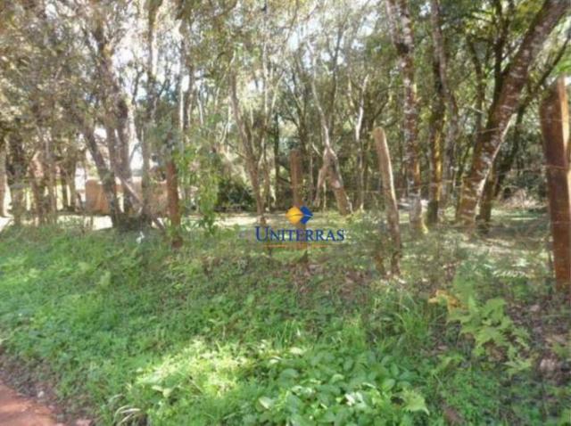 Terreno para venda em colombo no bairro são gabriel - Foto 10