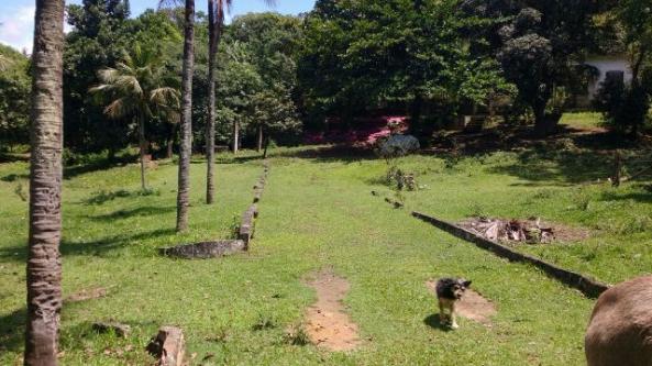 Ótimo sítio em Vale das Pedrinhas - Guapimirim RJ - Foto 12