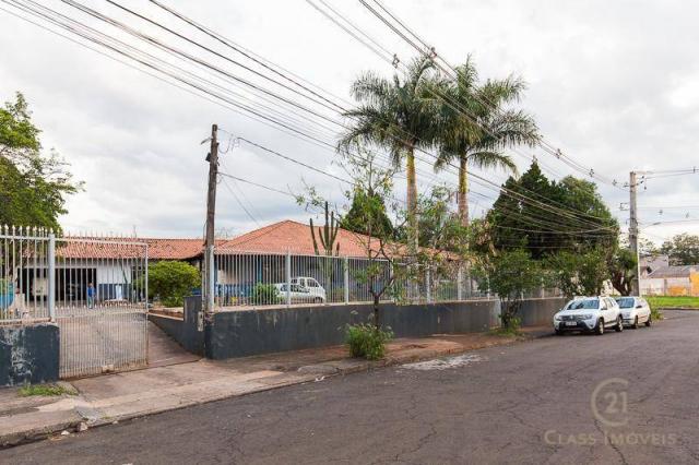 Chácara com 3 dormitórios à venda, 3005 m² - jardim morumbi - londrina/pr - Foto 19