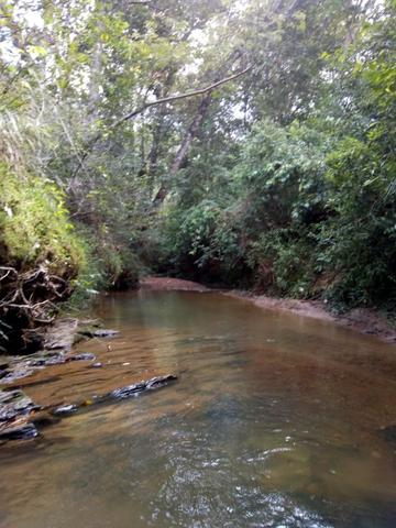 Propriedade de 98 hectares em Luziânia
