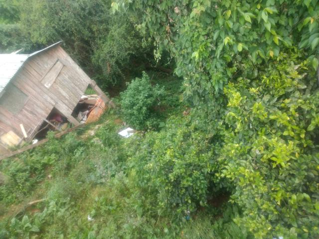 Terre Bairro Abranches - Foto 6