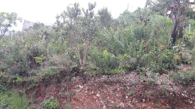 Lote em excelente lugar em Diamantina, 347m2 - Foto 10