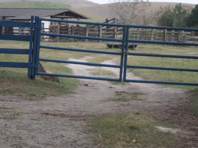 Fazenda de 118 alqueires em Casimiro de Abreu, RJ - Foto 3