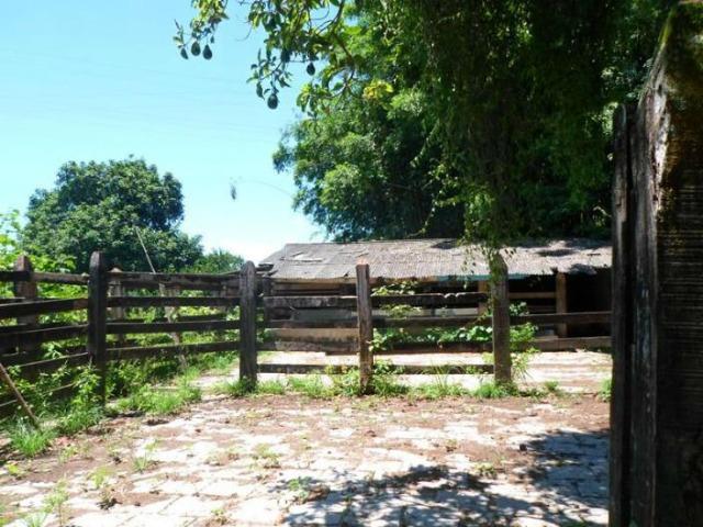 Sítio de 14 alqueires em Silva Jardim, RJ - Foto 2