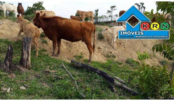 Sitio a Venda no bairro Área Rural - Prudentópolis, PR