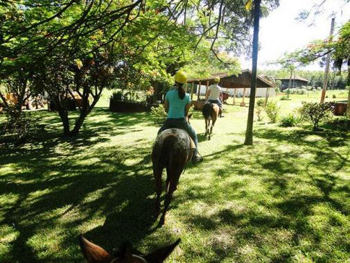Fazenda à venda, 8 quartos, vila neusa - campo grande/ms - Foto 3
