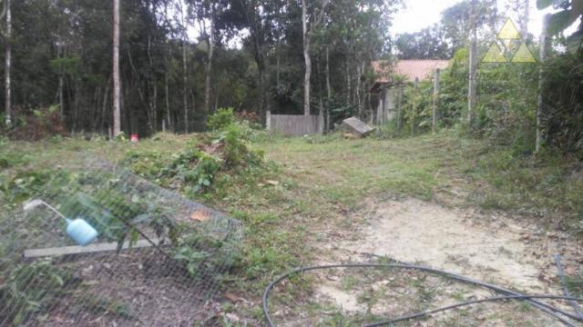 Sítio rural à venda, itajuba, barra velha. - Foto 8