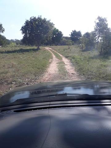 Chácara - Foto 4