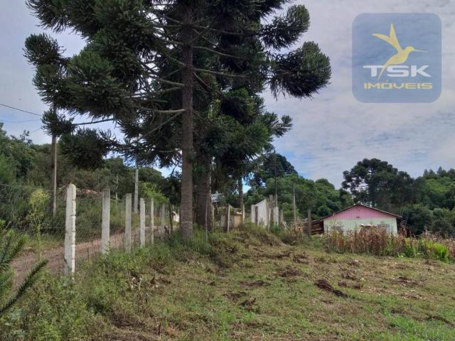Chácara em Mandirituba - 12100 m² por R$ 210.000 - Zona Rural - Mandirituba/PR