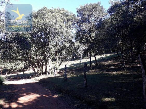 CH0143 - Quitandinha - 7.000 m² - Área para formar chácara - Foto 2