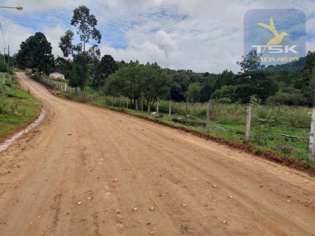Chácara em Mandirituba - 12100 m² por R$ 210.000 - Zona Rural - Mandirituba/PR - Foto 10