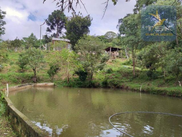 Chácara em Mandirituba - 12100 m² por R$ 210.000 - Zona Rural - Mandirituba/PR - Foto 18