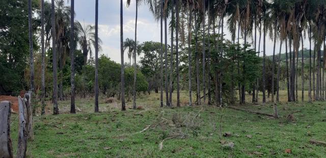 Fazenda a venda em bela vista de goias - Foto 4