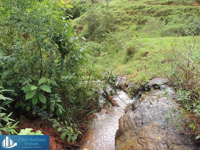 Fazenda 32,29 alq. de $ 3.571.331,05 por 2.500.000,00 - Peixe Verde - Viana - Foto 19