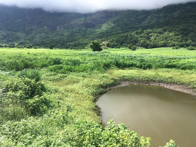 Venda de fazenda - Foto 5