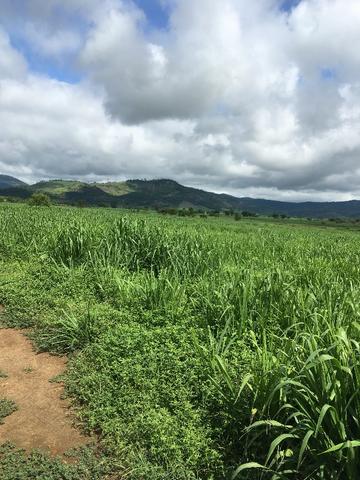 Venda de fazenda - Foto 2