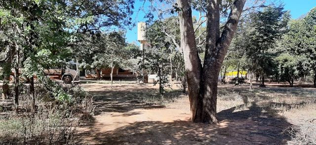 Chácara Café Sem Troco !!! 1.200.000 !!! - Foto 8