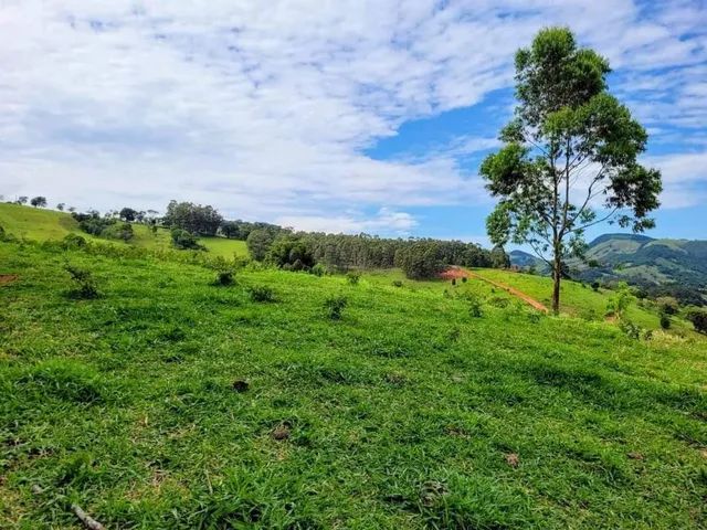 Lote/Terreno para venda possui 10000 metros - Foto 5