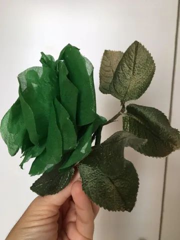 Linda flor com múltiplas utilidades!  - Foto 2