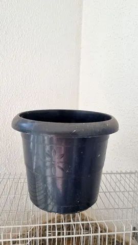 Vaso de planta