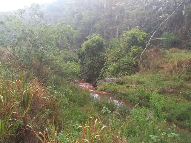 Fazenda localizada , Rio das Flores. - Foto 5