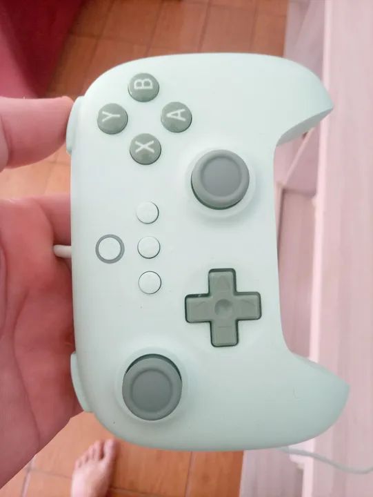 Controle - Foto 2