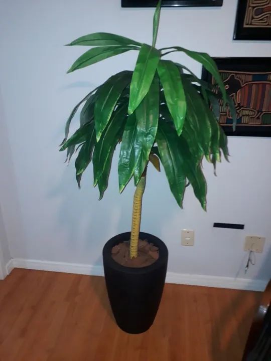 Linda Planta Artificial Tipo Pau D'água Com Vaso.