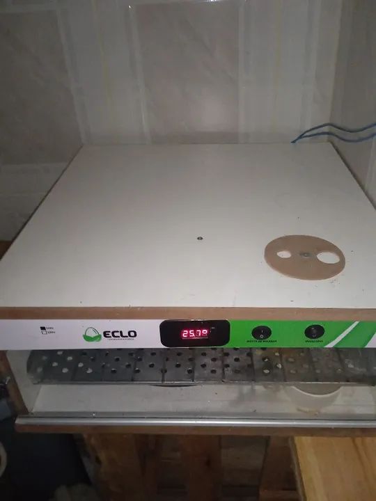 Incubadora de ovos Eclo para aves