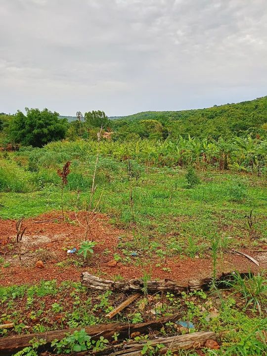 Terreno com vegetação nativa em área rural - Foto 3