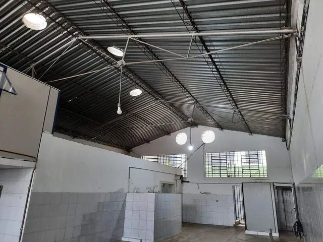 Galpão à venda, Lagoinha - Belo Horizonte/MG - Foto 4