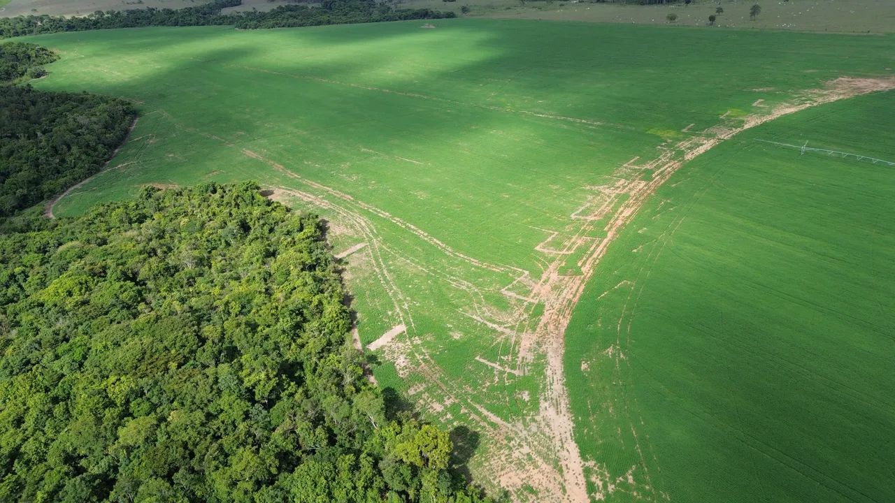 Fazenda Itaberaí  - Foto 5