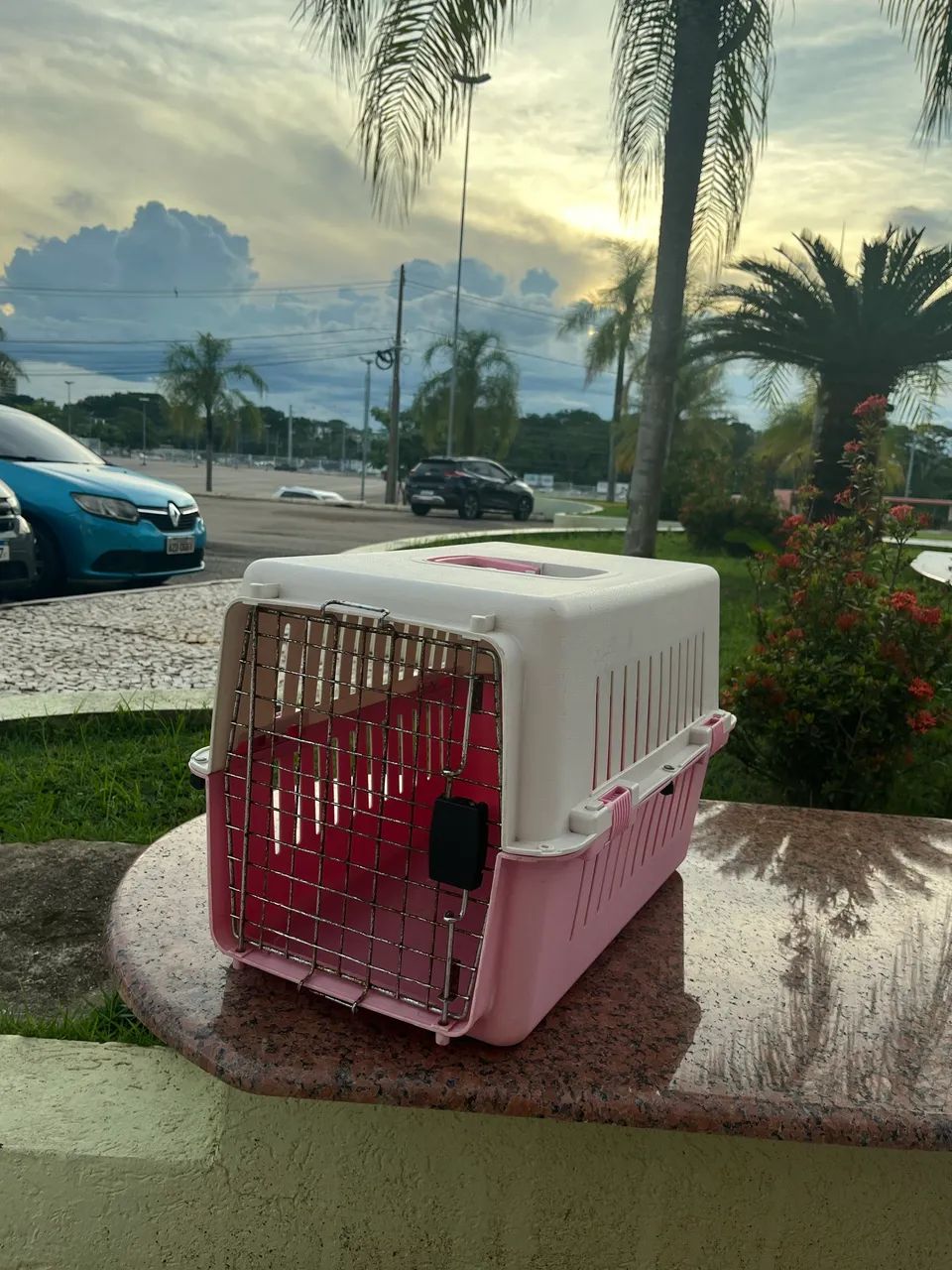 Vendo Casa de Transporte de Animais 