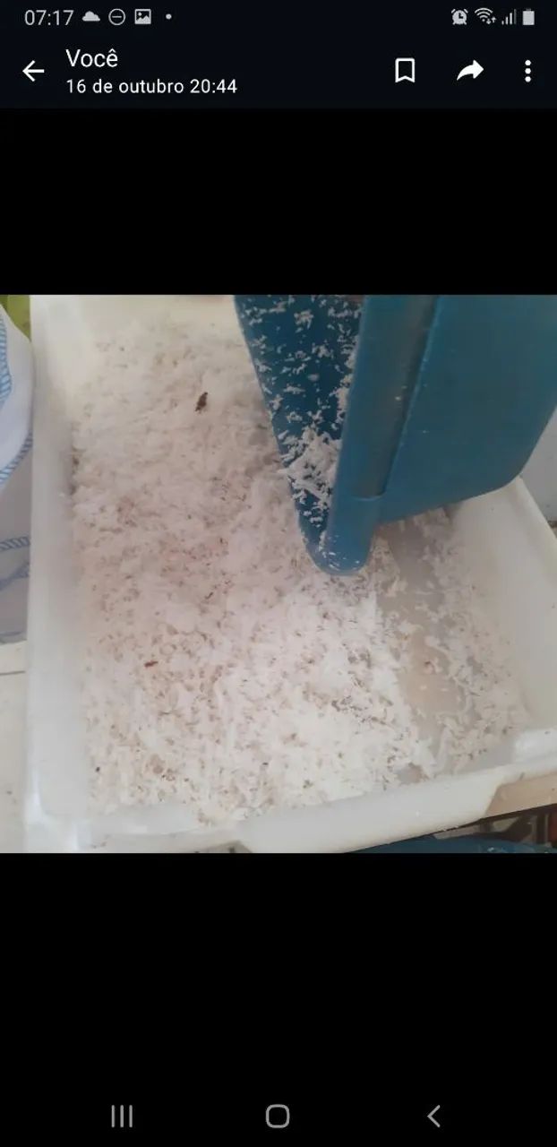 coco ralado  e coco seco 