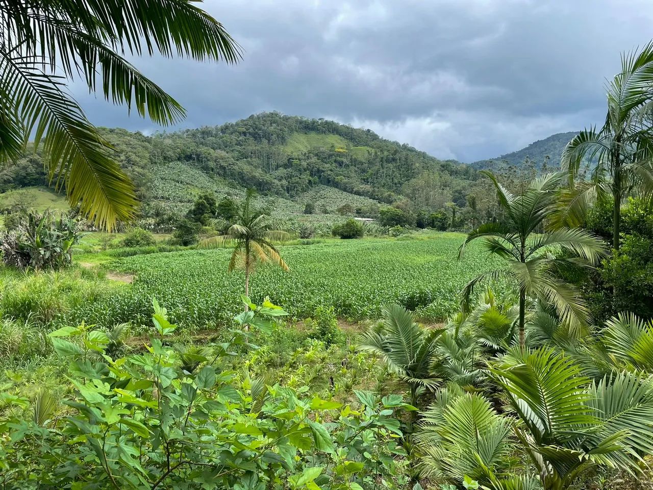 Terreno / Lote à venda, Garibaldi - Jaraguá do Sul/SC - Foto 4