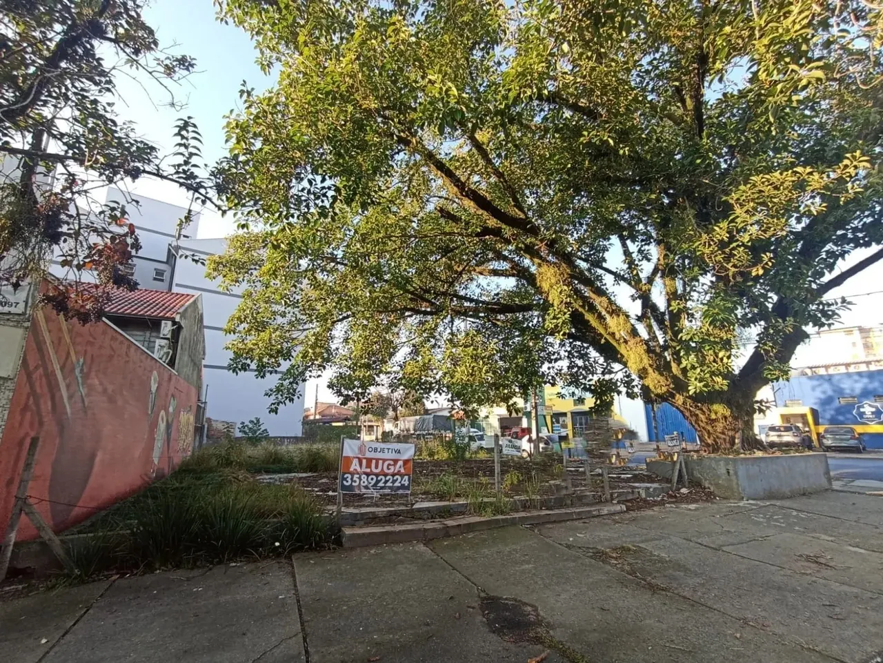Terreno para locação com 502m² no Bairro Rio Branco em São Leopoldo, RS, em Avenida movime