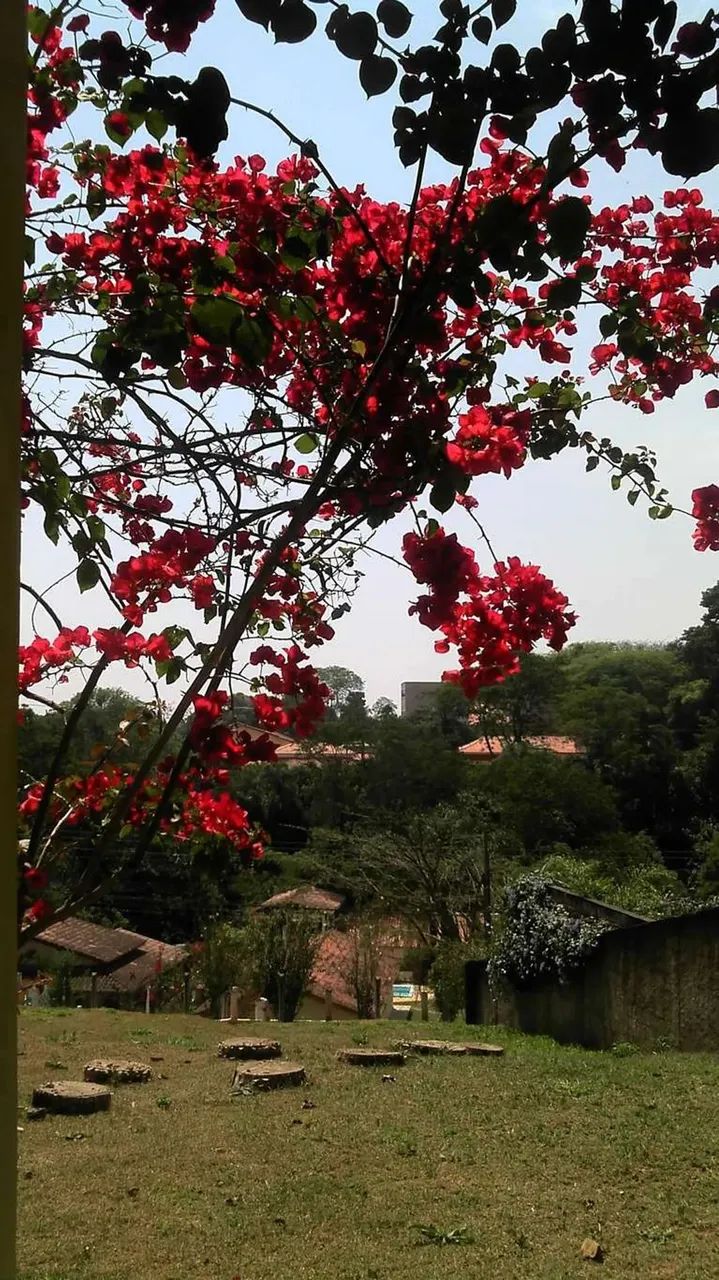 Casa de condomínio em Avenida Benedito Isaac Pires - Parque Dom Henrique - Cotia/SP - Foto 9