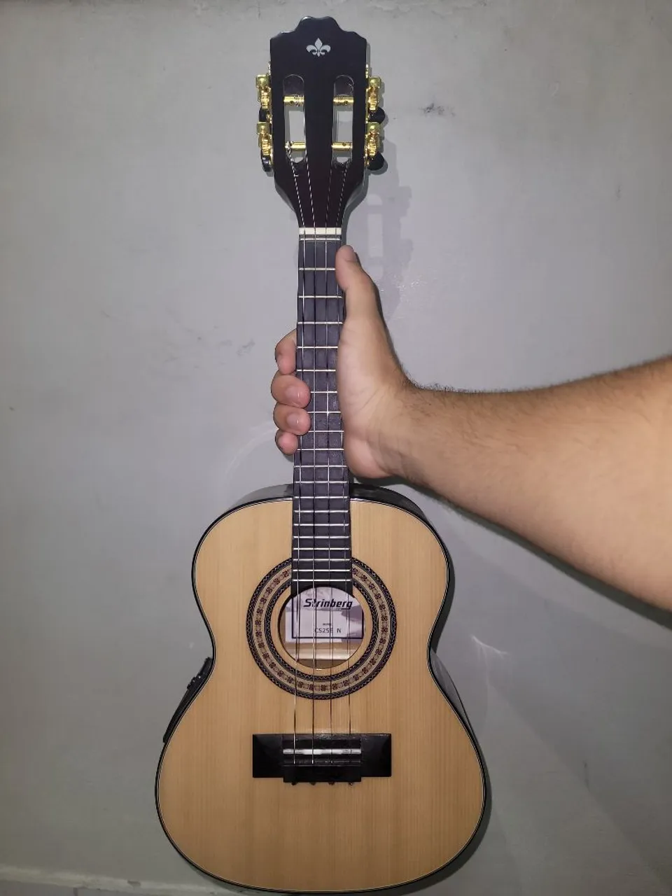 Kit Cavaquinho elétrico Strinberg