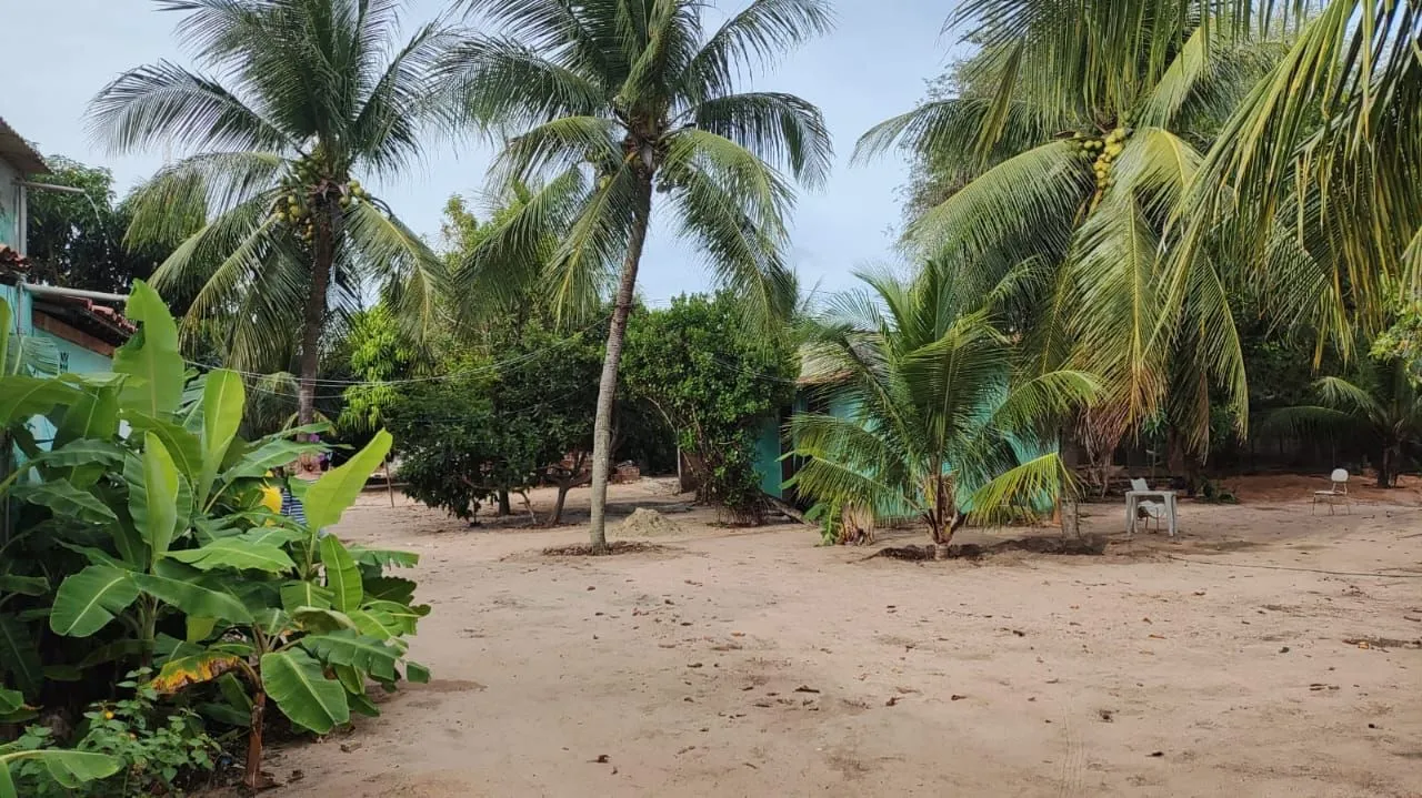 Vendo Chácara com casas e fruteiras