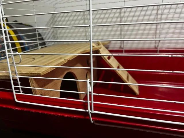 Gaiola para Coelho Bragança Vermelha - Foto 5