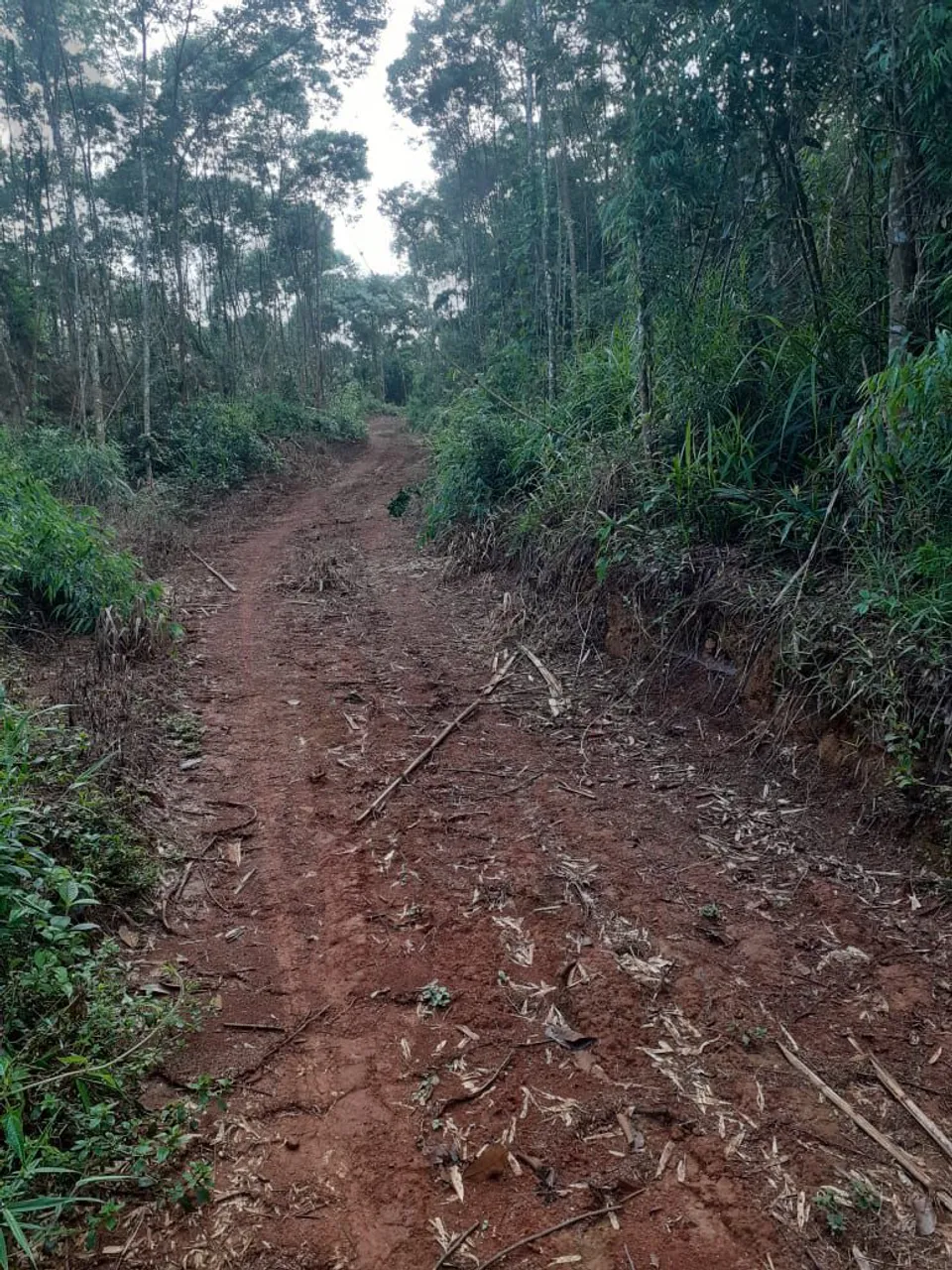 Terreno para formar chácara