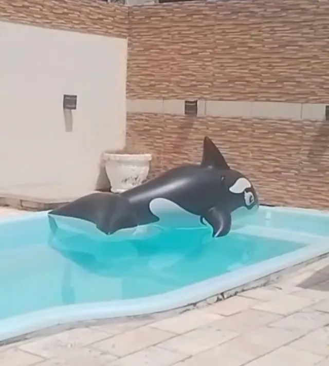 casa janga