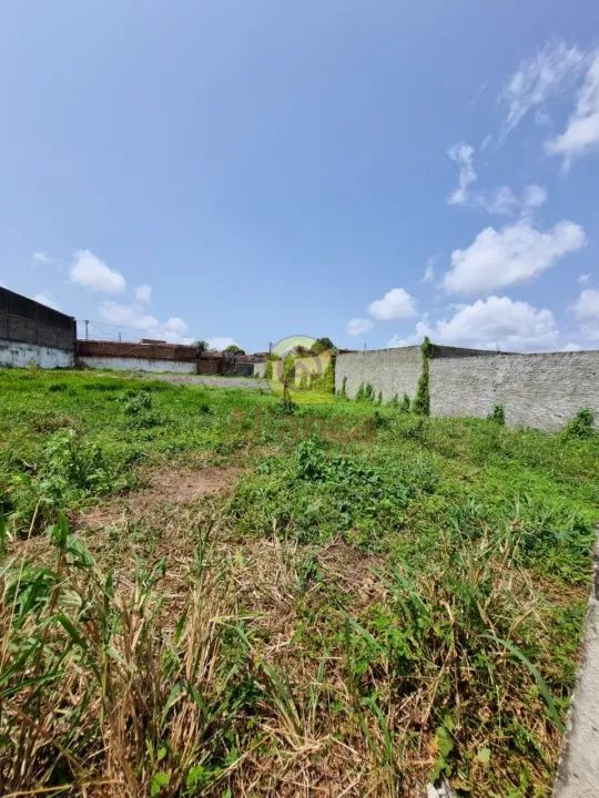 TERRENO A VENDA NO GOLANDIM - Foto 4